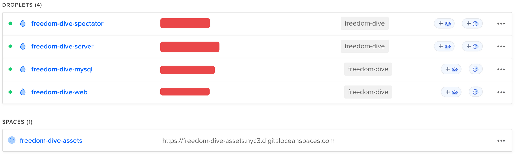 Current infrastructure of Freedom Dive